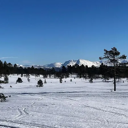 In Stunning Surroundings *