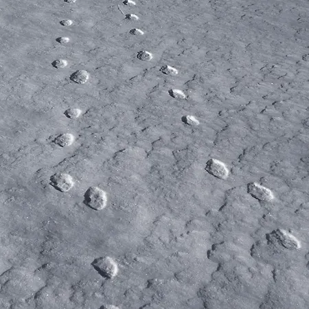 In Stunning Surroundings